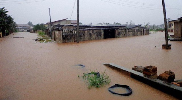 Fresh flood destroys over 320 houses in Yobe community - GistAfri.com