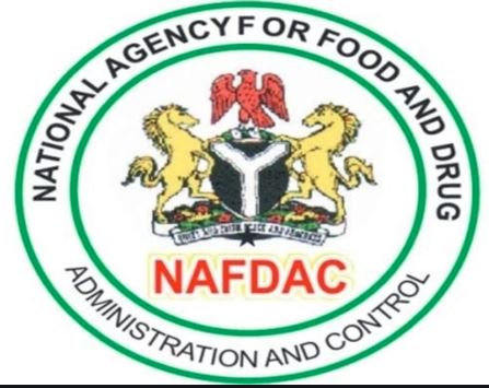 NAFDAC, BOI, partners Katsina corps members on self-employment ...